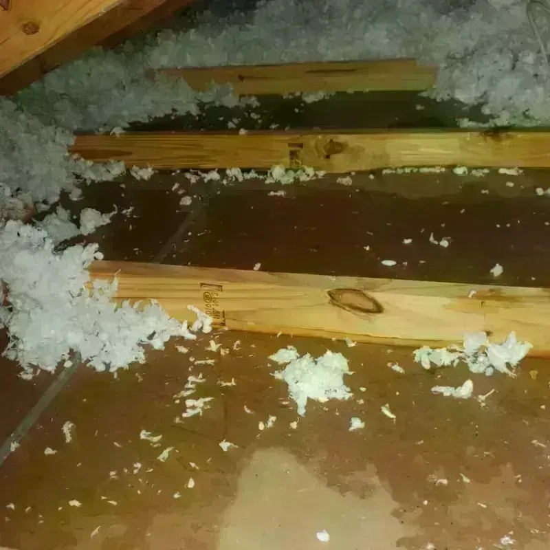 Attic Water Damage in Garrettsville, OH